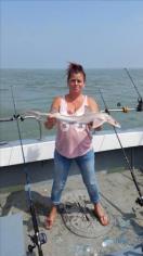 3 Kg Smooth-hound by Dawn Parrott