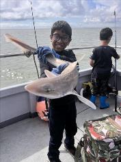 8 lb 7 oz Smooth-hound by Jimmy