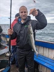 1 lb 6 oz Coalfish (Coley/Saithe) by Unknown