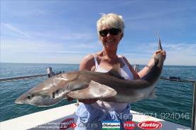 25 lb Tope by Sandra