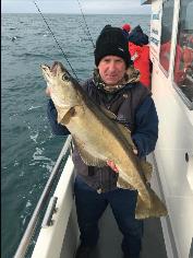 13 lb Pollock by Paul Kuhn