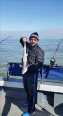 5 lb 2 oz Smooth-hound (Common) by Unknown