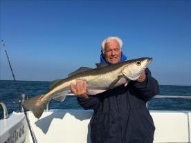 13 lb Pollock by Alan Parker