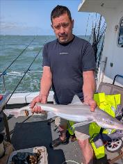 6 lb Smooth-hound by Thrush