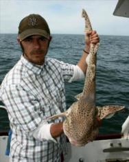 12 lb 10 oz Bull Huss by Carl 'Monty' Burns