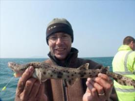 8 oz Bull Huss by Trevor