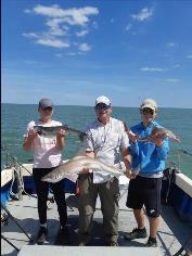 12 lb Starry Smooth-hound by Family day out