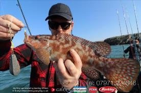 2 lb Ballan Wrasse by Dave
