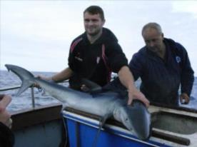 70 lb Blue Shark by Shaun