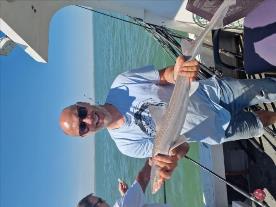 5 lb Starry Smooth-hound by Martin