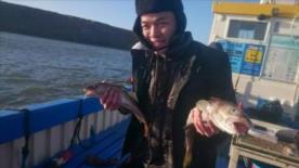 2 lb 4 oz Cod by Unknown