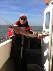 7 lb Smooth-hound (Common) by Keith