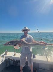 7 lb Smooth-hound by Unknown