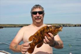 3 lb Ballan Wrasse by Chilli Pete