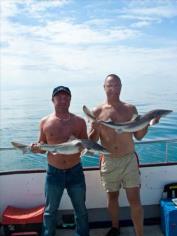 12 lb Spurdog by Itchy & Scratchy