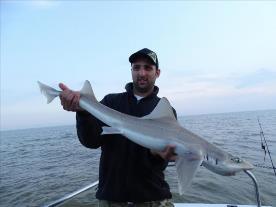 2 oz Starry Smooth-hound by Unknown