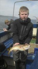 2 lb 4 oz Cod by Unknown