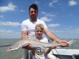 2 oz Starry Smooth-hound by Unknown