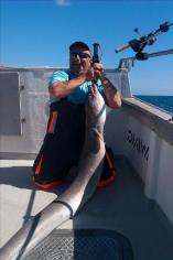 82 lb Conger Eel by Kevin abbott