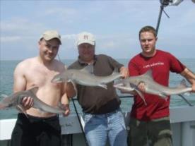 10 lb 8 oz Smooth-hound (Common) by liam baker