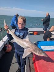 6 lb Starry Smooth-hound by Alfie