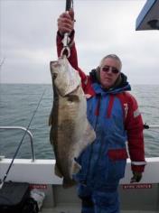 14 lb 8 oz Pollock by Dave Borton