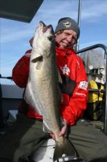 14 lb Pollock by Paul Dennis