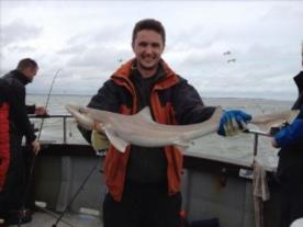 9 lb Starry Smooth-hound by Matt G