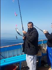 1 lb Mackerel by Unknown