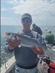 3 lb 5 oz Bass by Mick