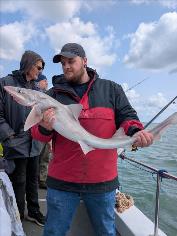 8 lb Starry Smooth-hound by Unknown