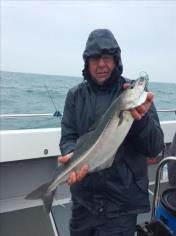 6 lb Coalfish (Coley/Saithe) by Keith Boseley
