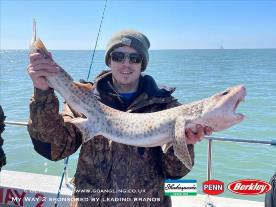 7 lb Bull Huss by Dave