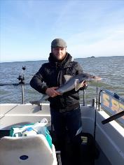 7 lb Starry Smooth-hound by dave