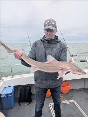 8 lb Starry Smooth-hound by Nick