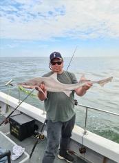 10 lb Smooth-hound by Dave Warman