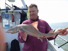 8 lb Smooth-hound (Common) by John