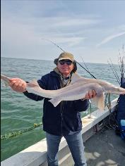 11 lb Starry Smooth-hound by Leon