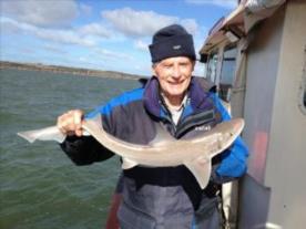 6 lb Starry Smooth-hound by Mighty Mikey D.