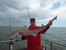 2 oz Smooth-hound by Unknown