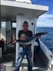 35 lb Blue Shark by Steve