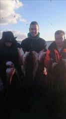 5 lb 2 oz Cod by Unknown