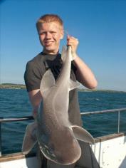 11 lb Starry Smooth-hound by Harry Owen