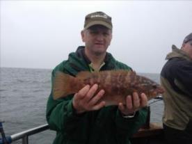 4 lb 8 oz Ballan Wrasse by John's Boys.