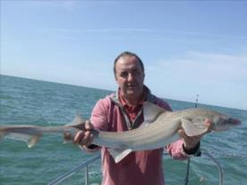 2 oz Smooth-hound by Unknown