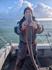 10 lb Conger Eel by Skipper