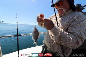 1 lb Black Sea Bream by Unknown