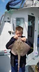 4 lb Common Skate by Dwayne