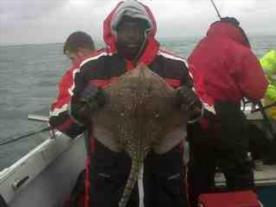 11 lb 2 oz Thornback Ray by Darren from East London