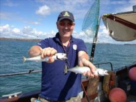 12 oz Mackerel by Cardiff Boys